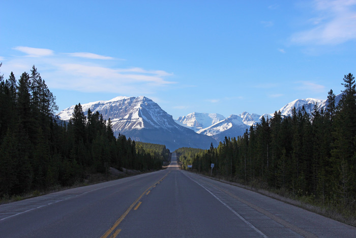 Icefields-Parkway, Alberta, Kanada